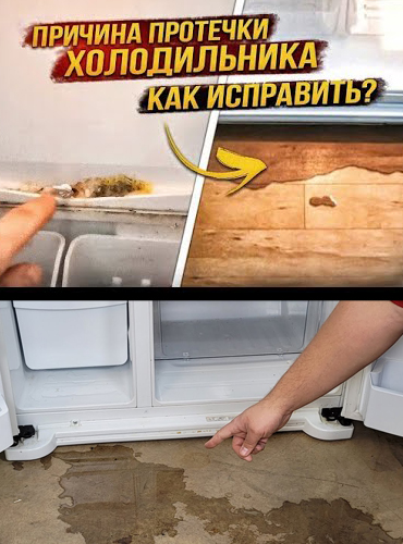 Ремонт холодильников в Заринске